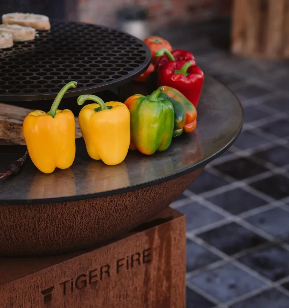 Barbecue | TIGER FIRE OFFICIAL STORE | TIGER FIRE SHOP | TIGER FIRE | BBQ SHOP | PLANCHA BBQ | BRASERO BBQ | BBQ BRASERO | BRASERO barbecue | BRASERO PLANCHA BBQ | GRILL PLANCHA BBQ | BBQ GRILL | PLANCHA GRILL BBQ | BBQ GRIDDLE | Grillade à la plancha | Barbecue à la plancha | Acheter un barbecue | Acheter barbecue | Acheter bbq